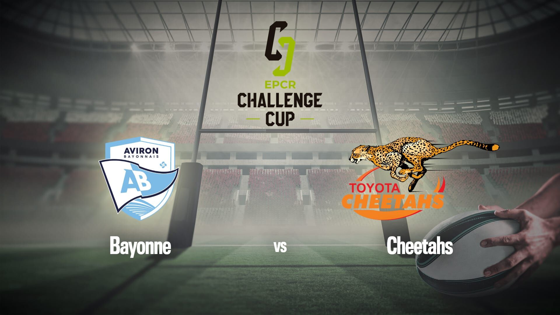 Vignette du programme télé Rugby : Challenge Cup | Bayonne / Cheetahs