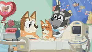 Vignette du programme télé Bluey (Bumpy et le vieux lévrier sage) S1 (32/52)