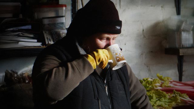 Vignette du programme télé Rhubarb Rhubarb