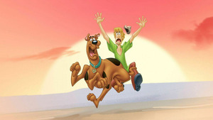 Vignette du programme télé Scooby-Doo ! Le clash des Sammy *2017