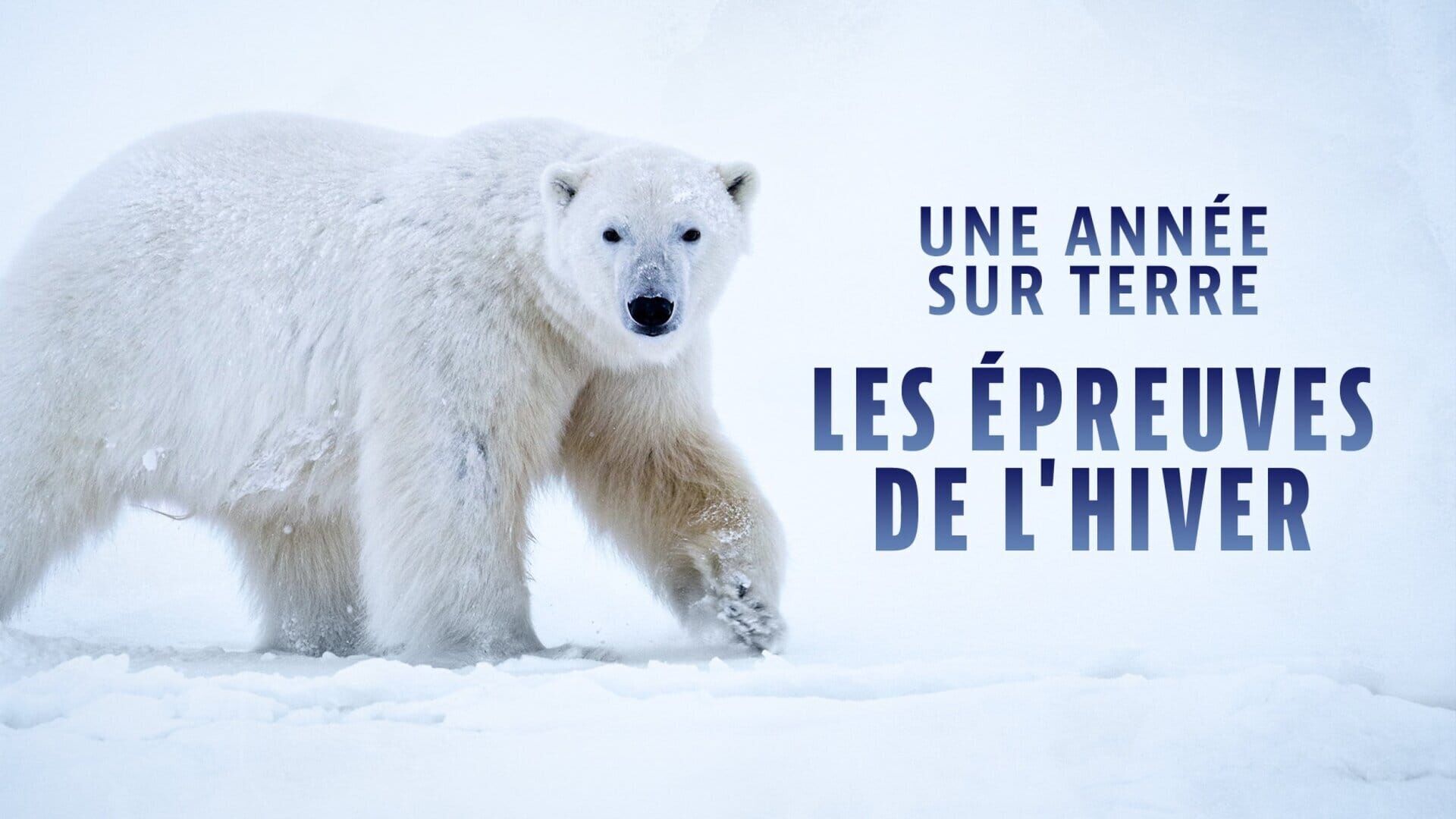 Vignette du programme télé Une année sur Terre