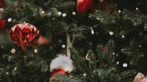 Vignette du programme télé On s'était dit rendez-vous... à Noël