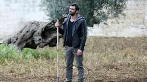 Vignette du programme télé Rex (La chasse au trésor) S17 (12/12)