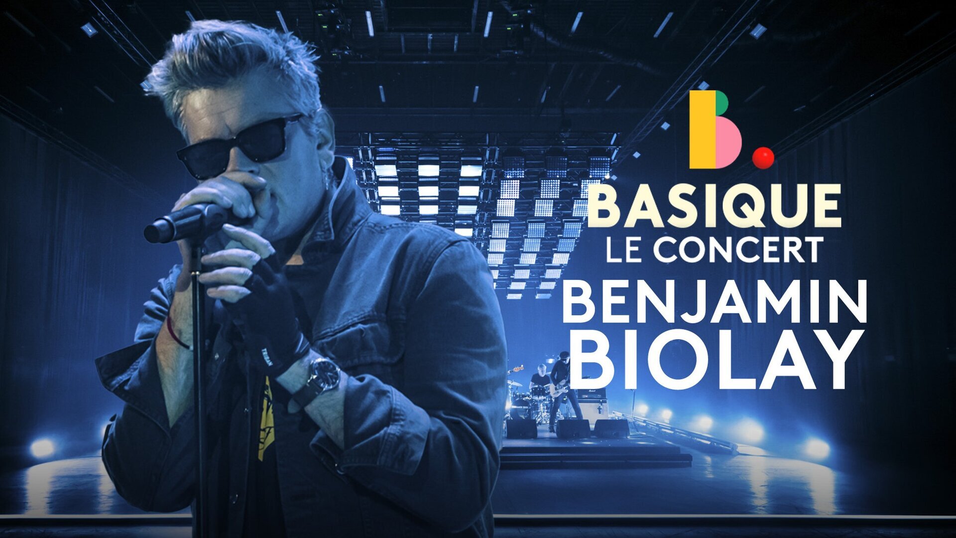 Vignette du programme télé Basique, le concert
