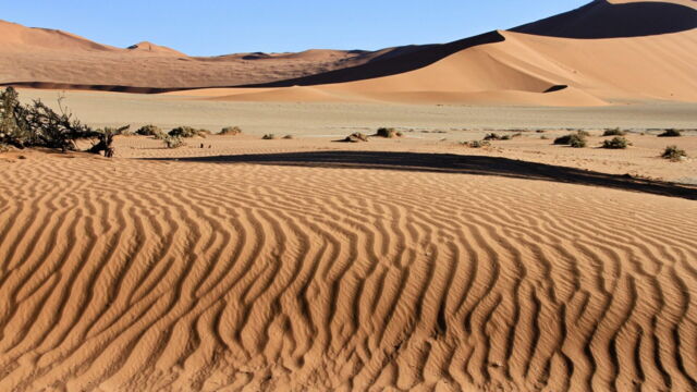 Vignette du programme télé Namibie sauvage