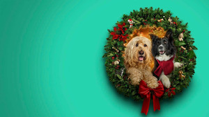 Vignette du programme télé Un Noël au poil !