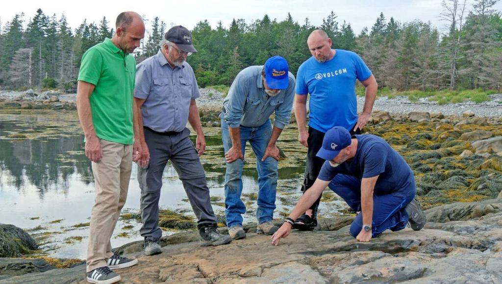 Vignette du programme télé Le mystère d'Oak Island
