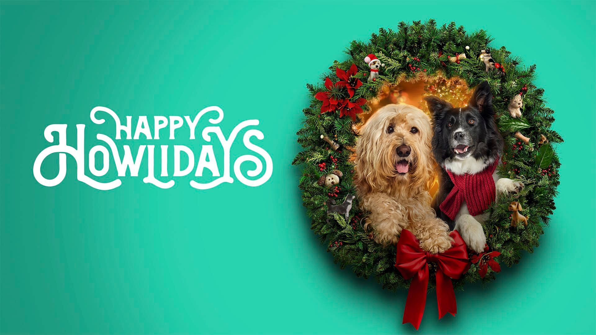 Vignette du programme télé Un Noël au poil !