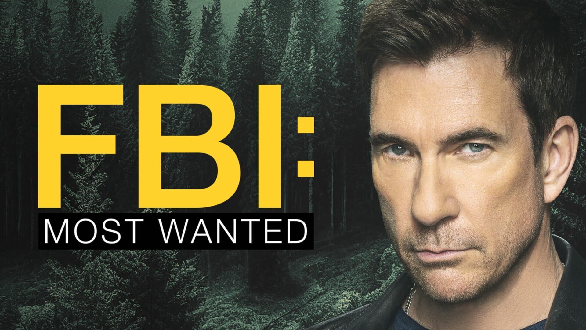 Vignette du programme télé Most Wanted Criminals