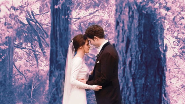 Vignette du programme télé Twilight, chapitre 4 : Révélation, 1re partie