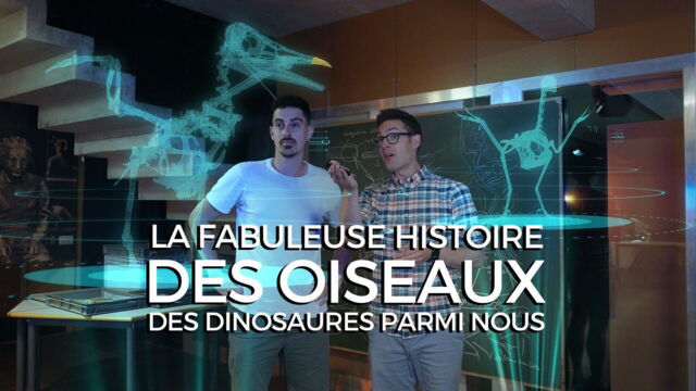 Vignette du programme télé La fabuleuse histoire des oiseaux, des dinosaures parmi nous