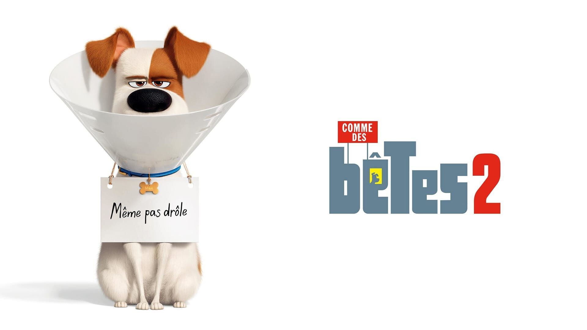 Vignette du programme télé Comme des bêtes 2