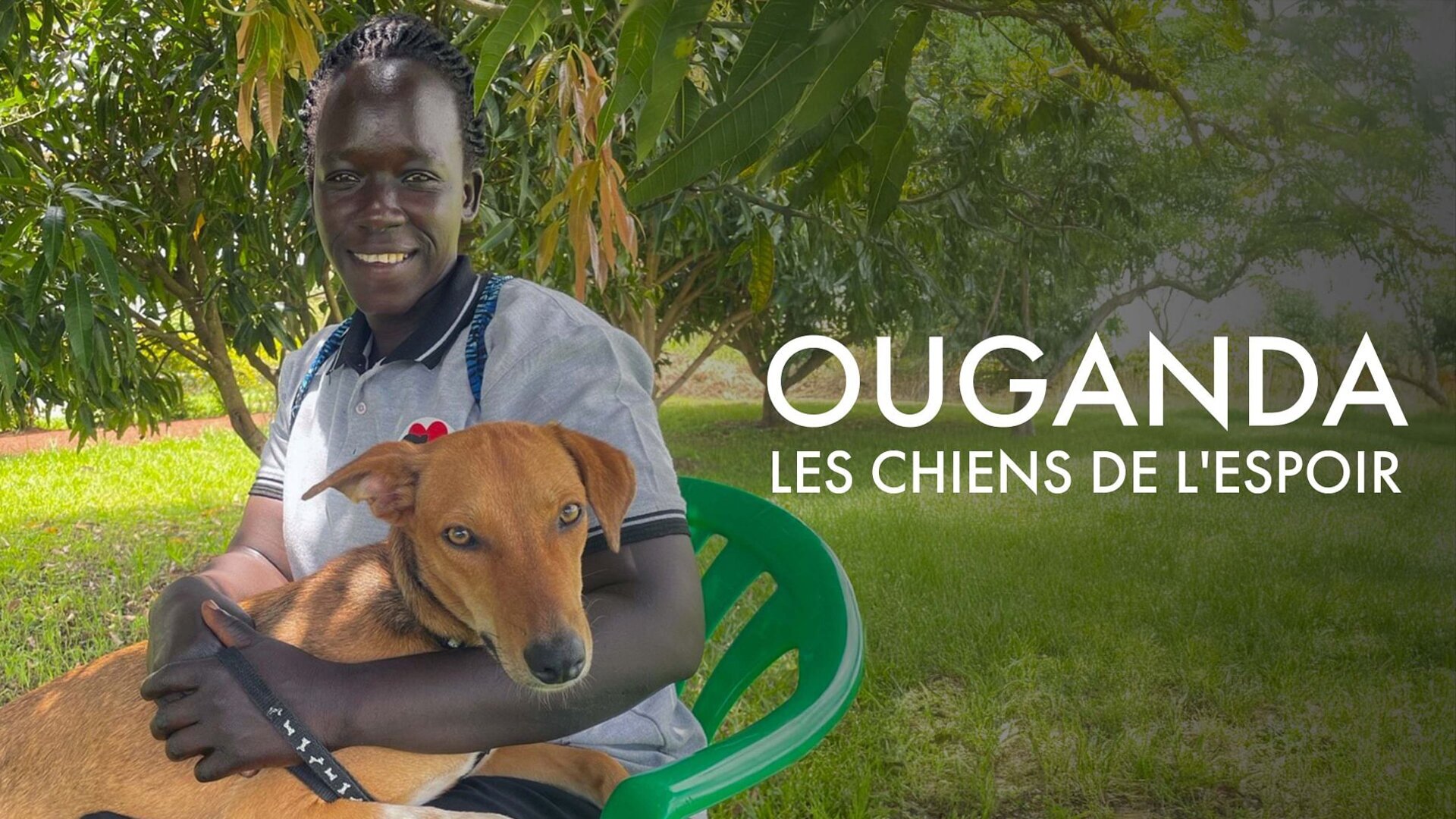 Vignette du programme télé Ouganda, les chiens de l'espoir