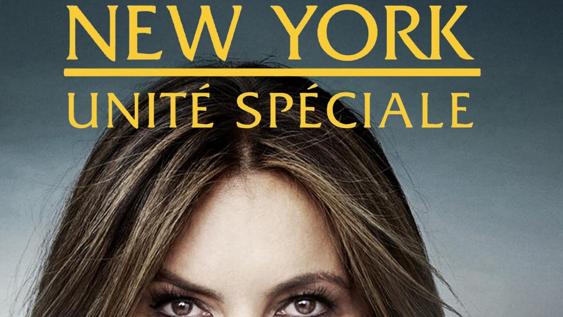 Vignette du programme télé New York Unité Spéciale
