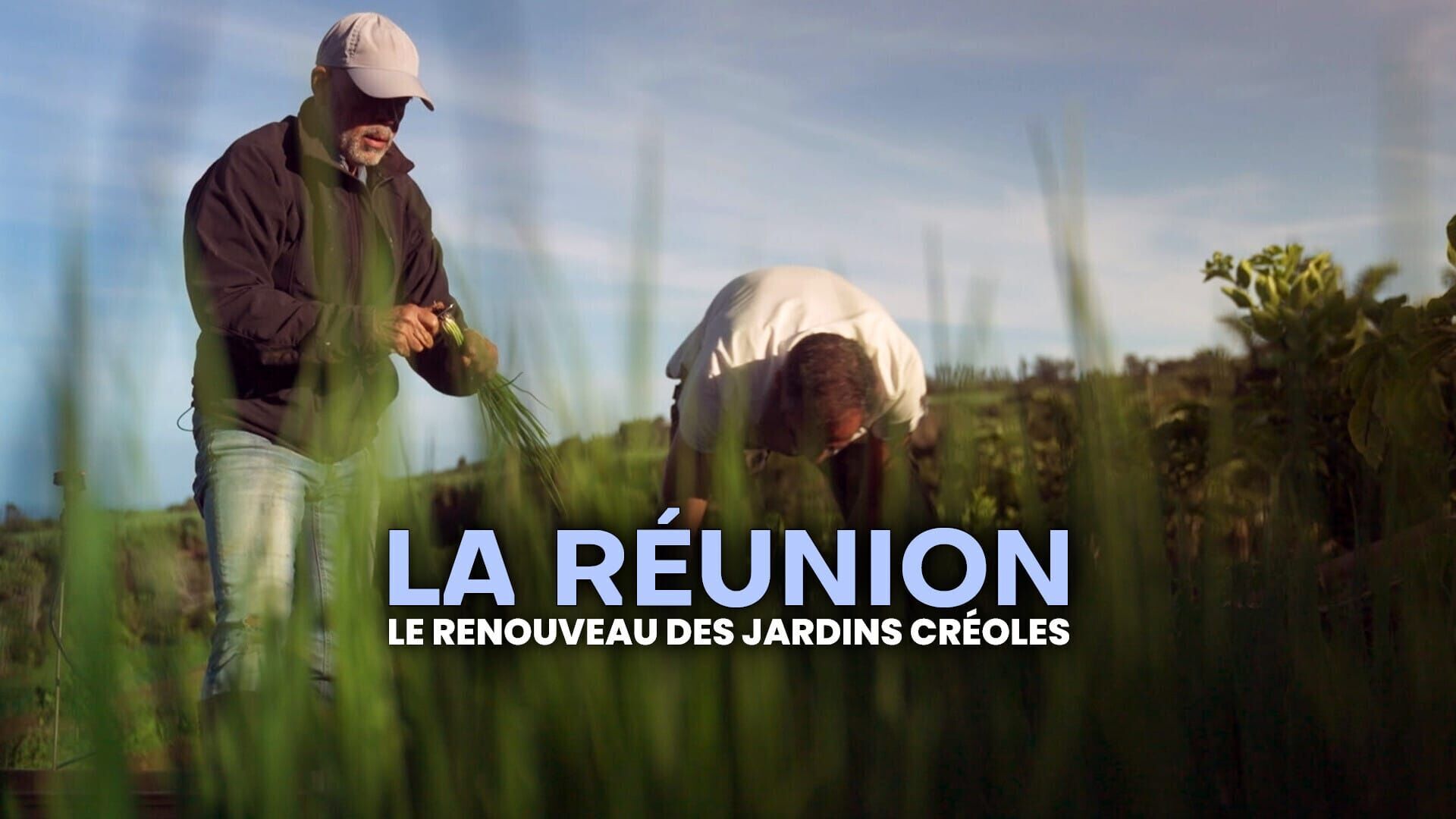 Vignette du programme télé La Réunion, le renouveau des jardins créoles
