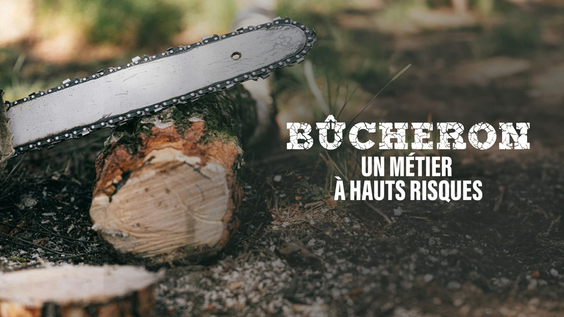 Vignette du programme télé Bûcheron : un métier à hauts risques