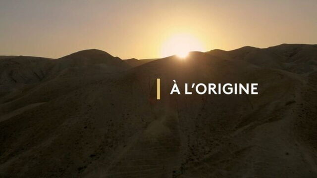 Vignette du programme télé A l'origine