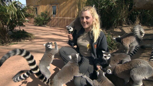 Vignette du programme télé Une saison au zoo