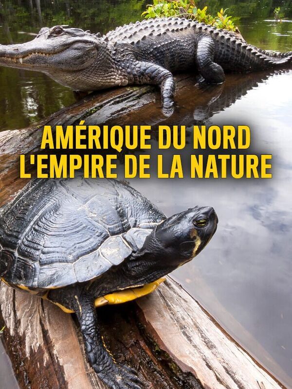Vignette du programme télé Amérique du Nord : L'empire de la nature