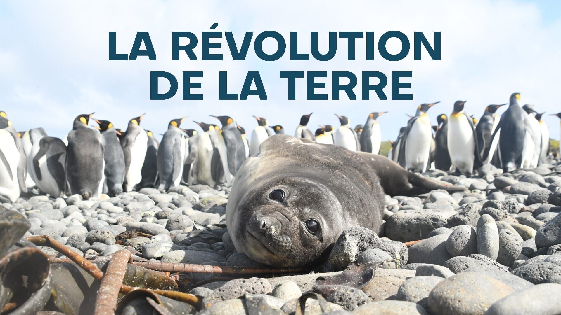 Vignette du programme télé Une année sur Terre