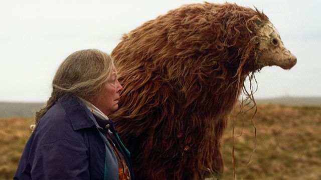 Vignette du programme télé A Bear Remembers