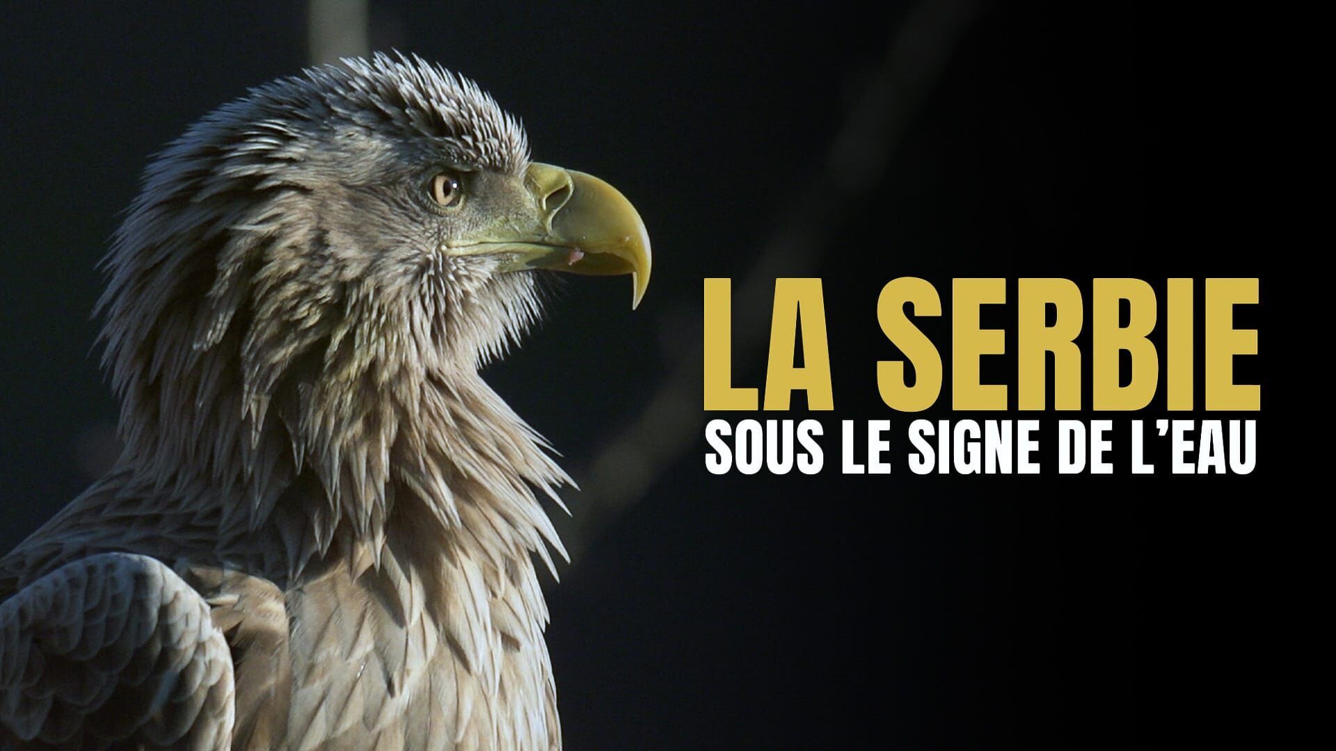 Vignette du programme télé La Serbie, sous le signe de l'eau