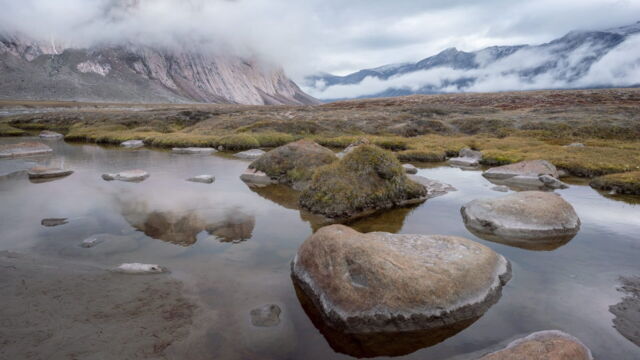 Vignette du programme télé Baffin, une île au coeur de la banquise