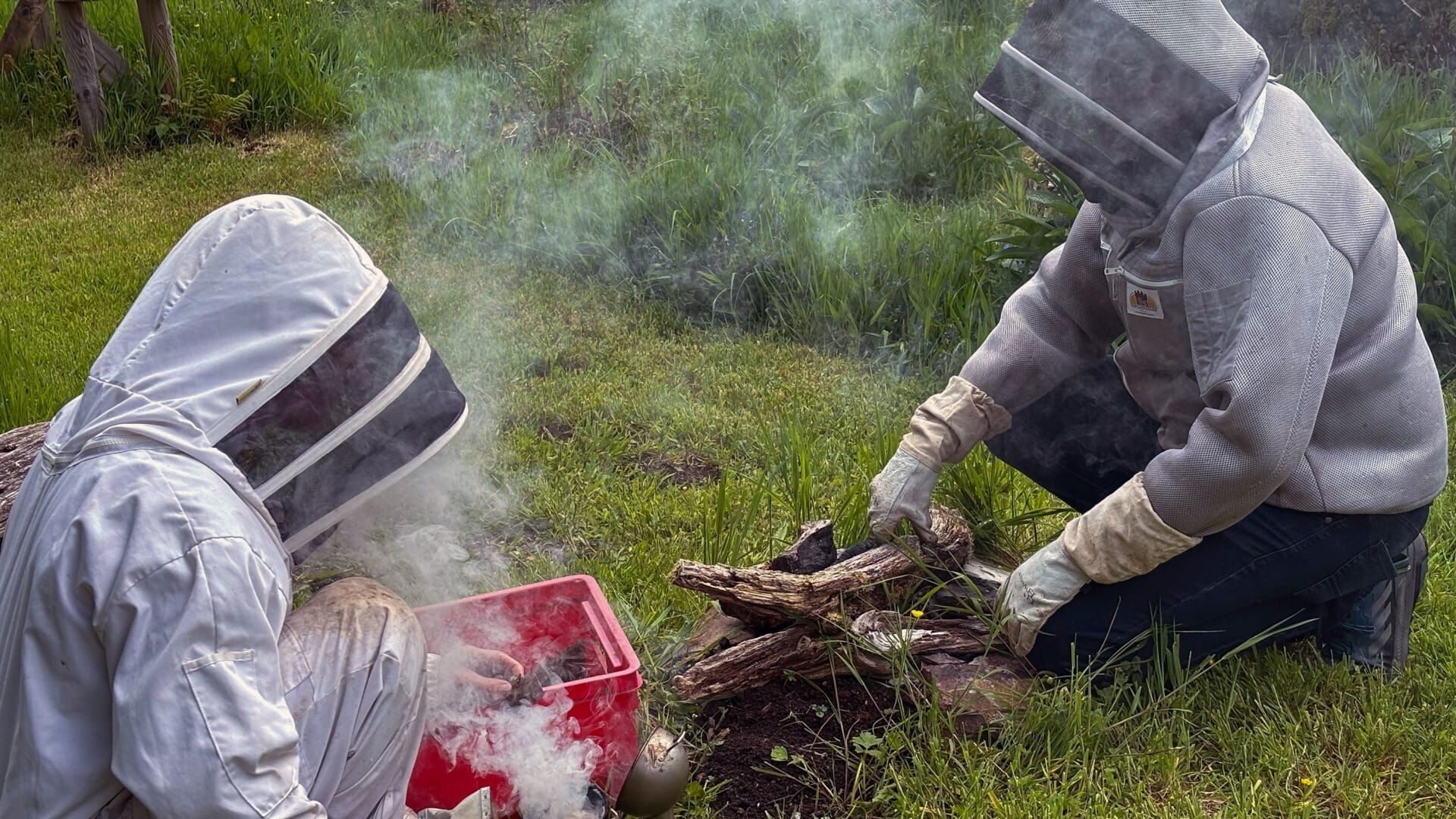 Vignette du programme télé Apiculture : un parasite menace les ruches