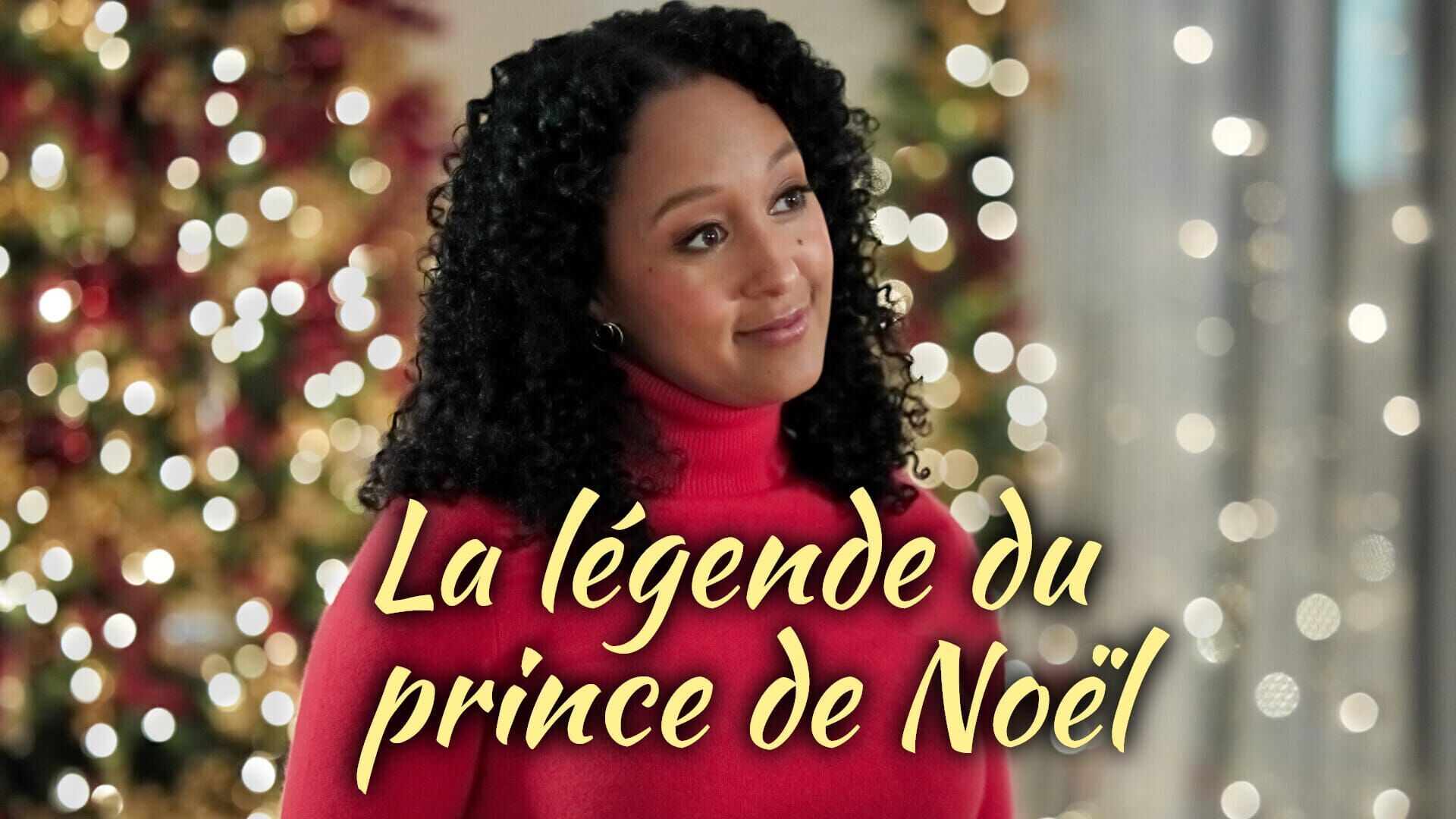 Vignette du programme télé La légende du prince de Noël