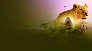 Vignette du programme télé Serengeti, la grande cavalcade des animaux (Chaleurs extrêmes) S3 (5/6)