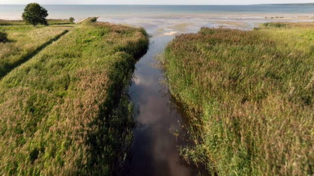 Vignette du programme télé Les parcs nationaux des pays baltes