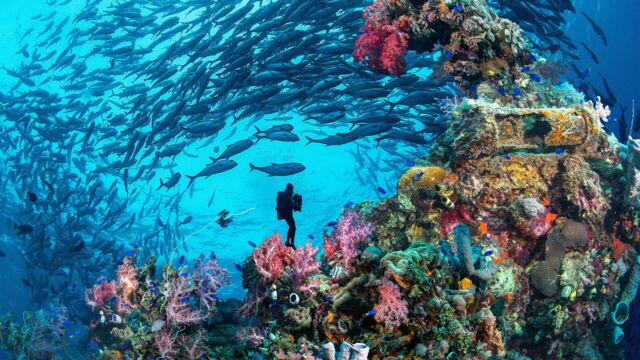 Vignette du programme télé Truk Lagoon : le grand cimetière sous la mer