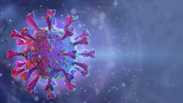 Vignette du programme télé Apocalypse : le jour où un virus va décimer l'humanité