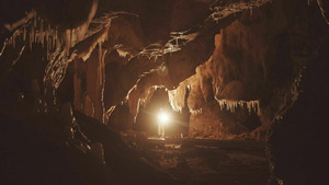 Vignette du programme télé Chauvet, voyage aux origines