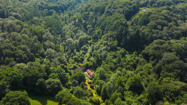 Vignette du programme télé La vie secrète des jardins britanniques