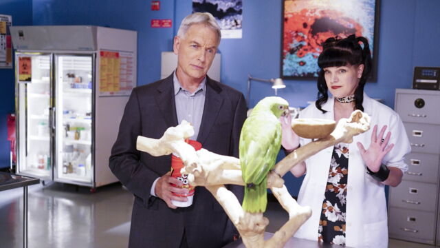 Vignette du programme télé NCIS