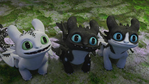 Vignette du programme télé Dragons : les neuf royaumes (Les éclairs-nocturnes) S4 (6/6)