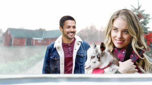 Vignette du programme télé Noël au ranch