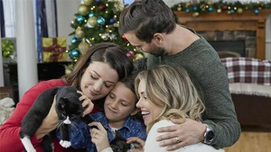 Vignette du programme télé Neuf chatons pour Noël