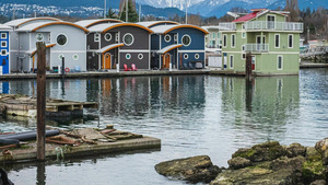 Vignette du programme télé L'île de Vancouver : un paradis sauvage