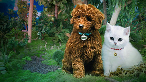 Vignette du programme télé Moustache & Patoune (Halloween) S1 (n°40)