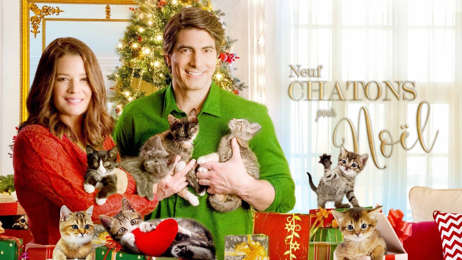 Vignette du programme télé Neuf chatons pour Noël