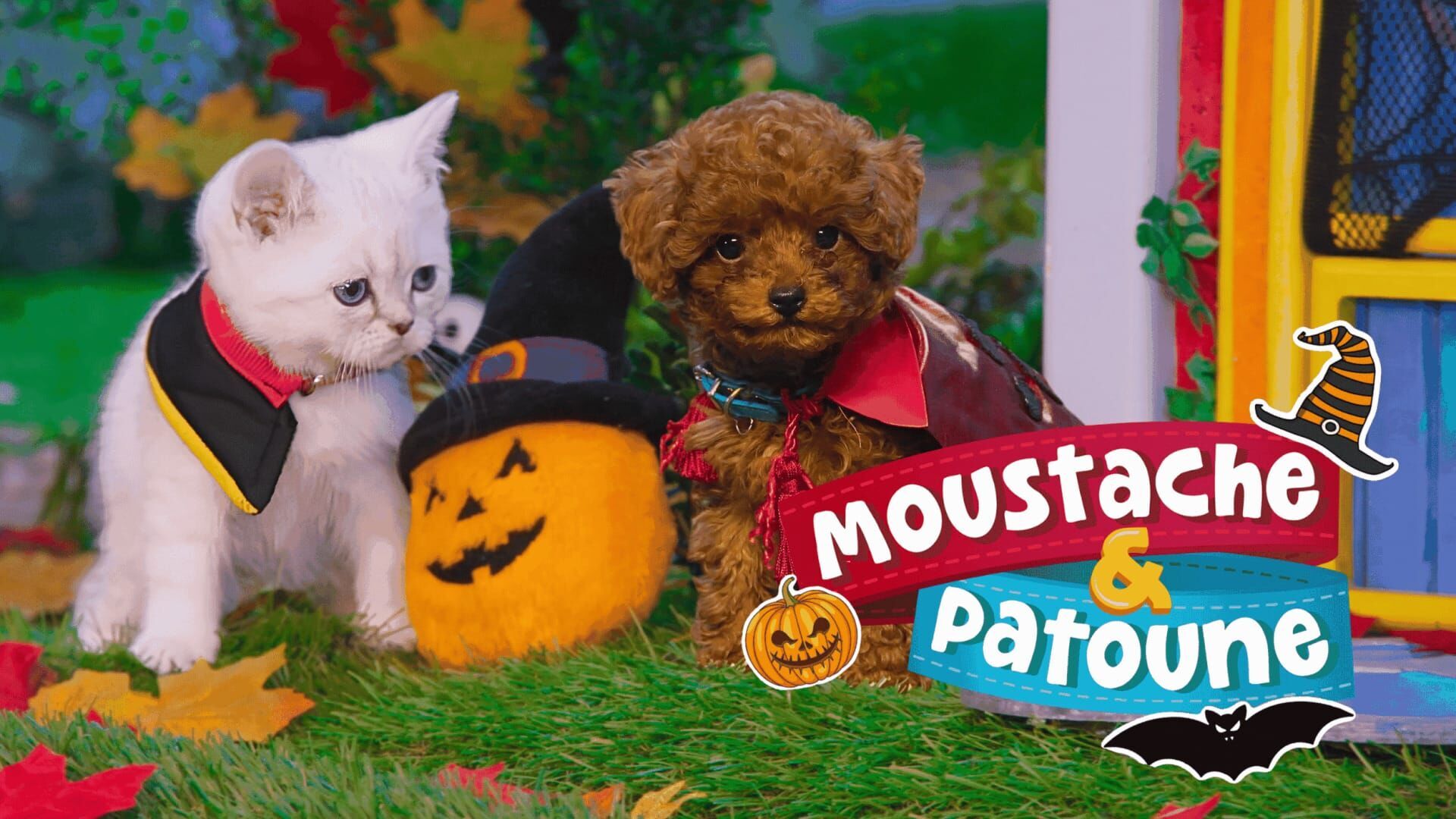 Vignette du programme télé Moustache & Patoune