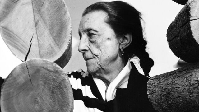 Vignette du programme télé Louise Bourgeois, la sculpture et la colère