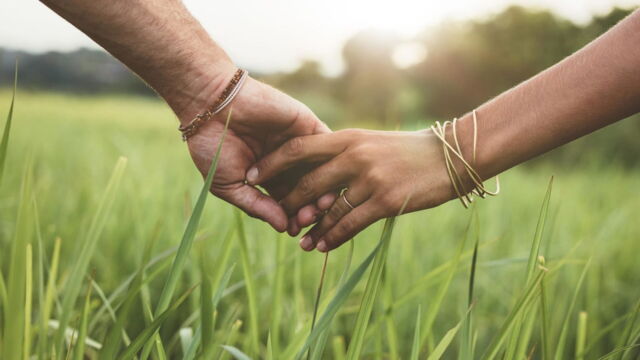 Vignette du programme télé L'amour vu du pré