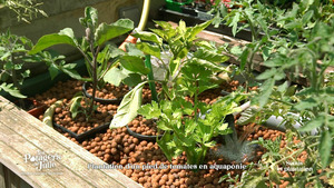 Vignette du programme télé Les potagers de Julie S2