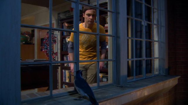 Vignette du programme télé Big Bang Theory - Saison 5