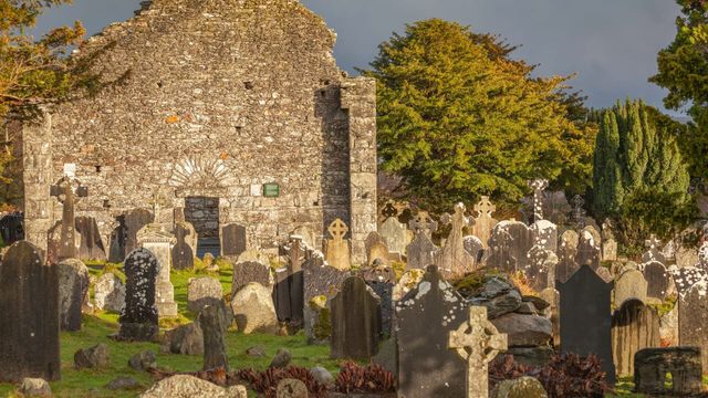 Vignette du programme télé Irlande : l'exhumation des bébés oubliés