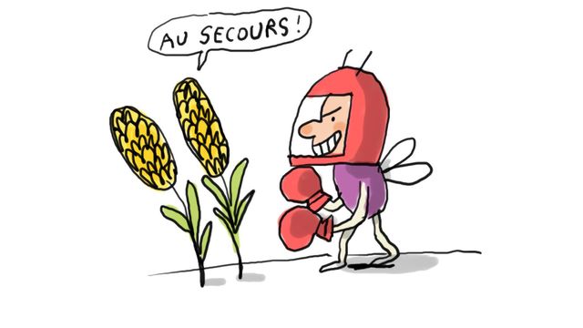 Vignette du programme télé Un jour, une question