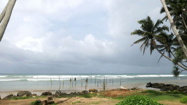 Vignette du programme télé Le Sri Lanka, l'île aux trésors